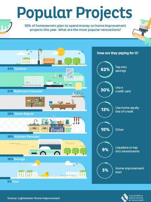 Popular home projects infographic